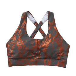 Metallic Running Shockproof Ladies Sports Bras Gold Snake Print Cross Back Yoga Bra